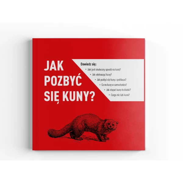 Poradnik jak pozbyć się kuny z domu, samochodu.