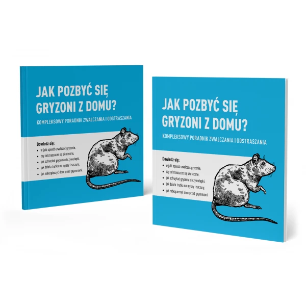 Poradnik jak pozbyć się pluskwy gryzoni