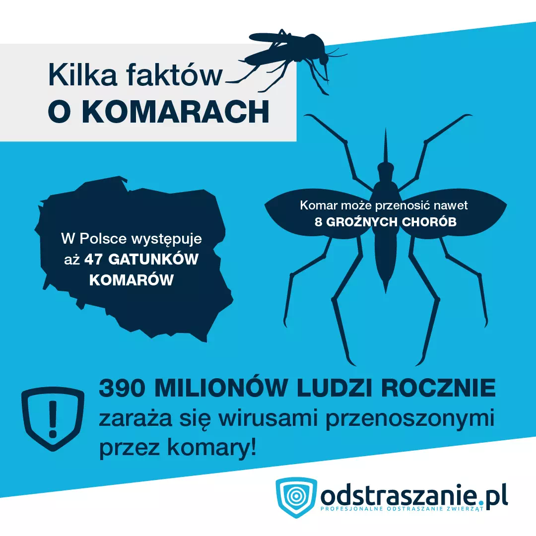 ile gatunków komarów w Polsce