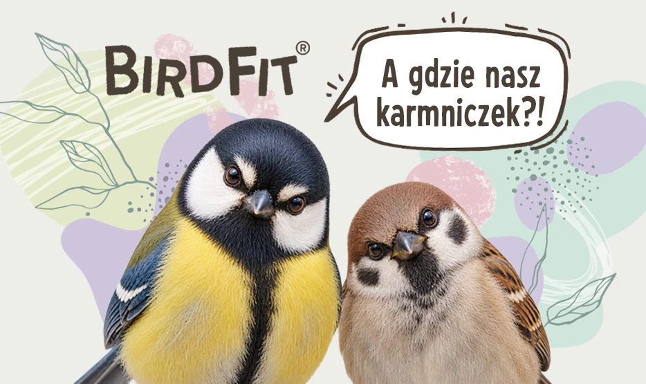 pokarm dla ptaków na zimę
