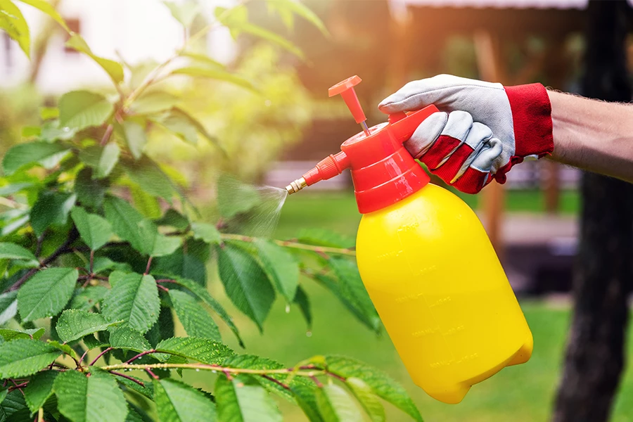 jak zrobić oprysk owadobójczy w ogrodzie domu