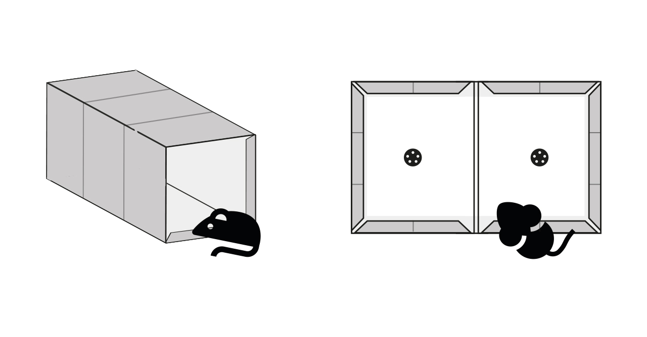 Pułapka lepowa na szczury, myszy, gryzonie No Pest 40x25cm.