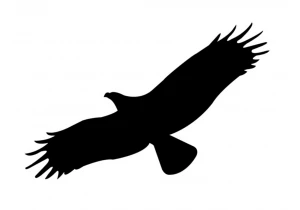 Naklejka, nalepka sylwetka ptaka  (wzór L20)