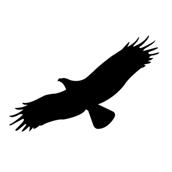 Naklejka, nalepka sylwetka ptaka  (wzór L20)