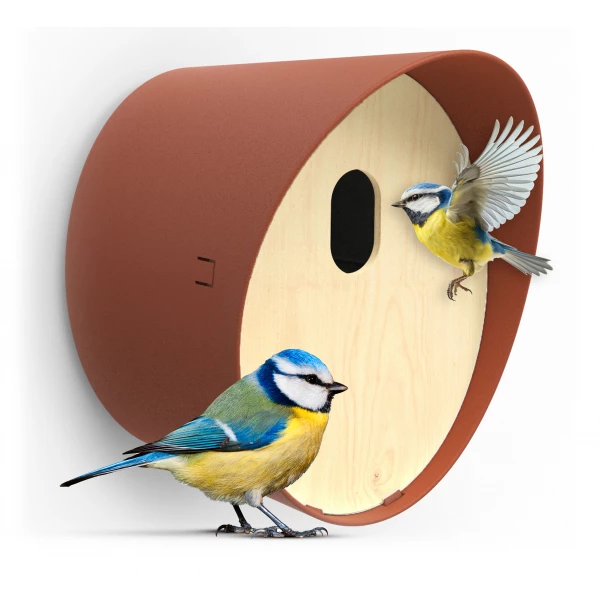 Nowoczesny domek dla ptaków Capi Europe brązowy