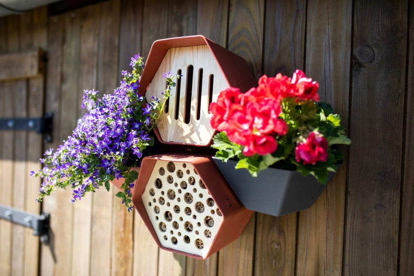 zestaw domek dla pszczół i motyli planter w ogrodzie