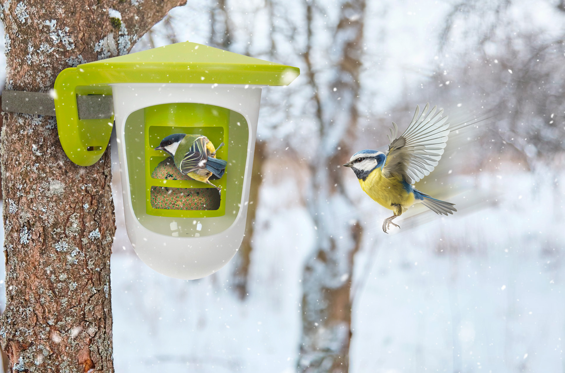 nowoczesny karmnik multi feedr zielony dla ptaków na zimę na rzep