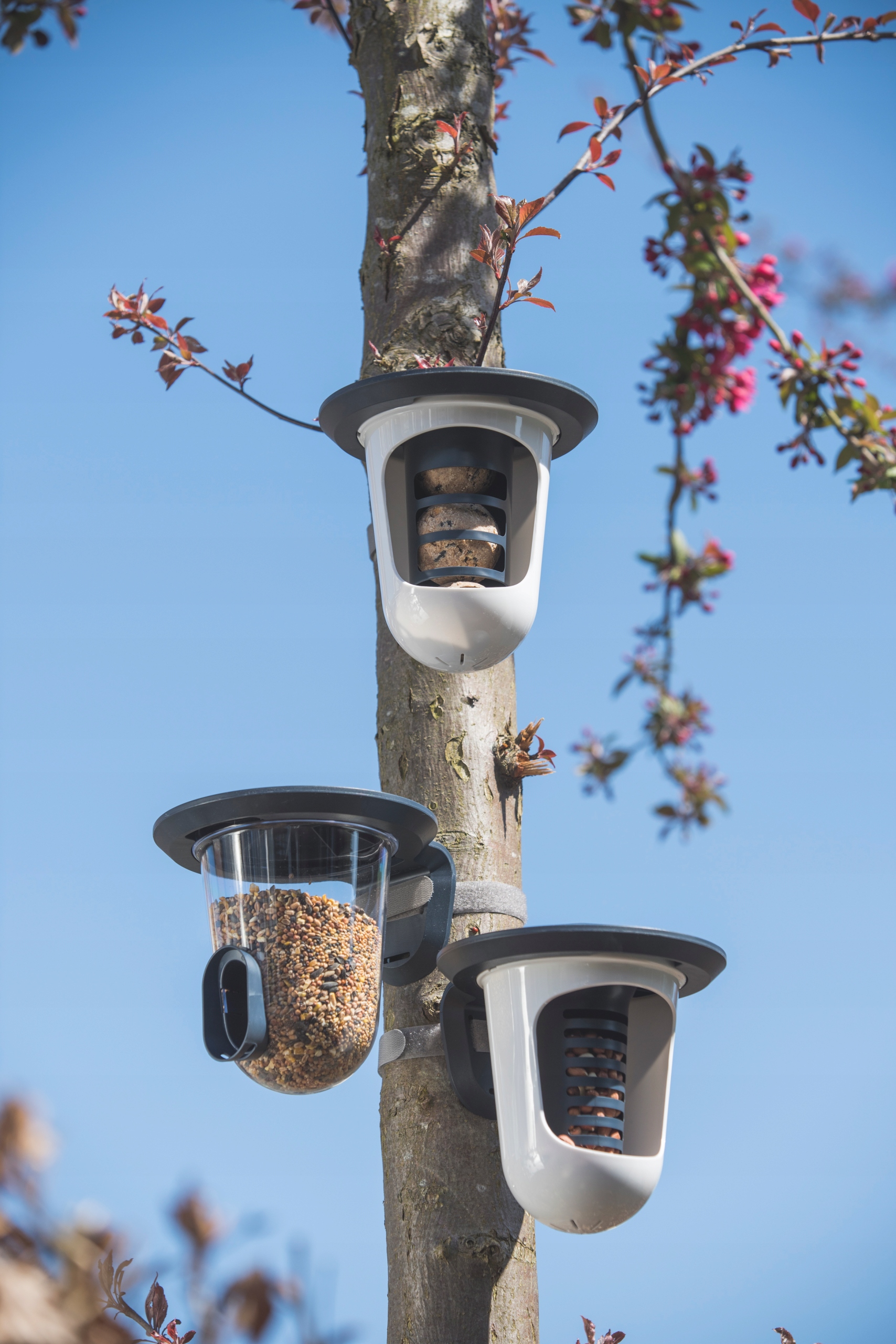 zestaw karmników multi feedr na zimę dla ptaków