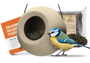 Nowoczesny, minimalistyczny karmnik na ziarno, nasiona dla ptaków Lisa