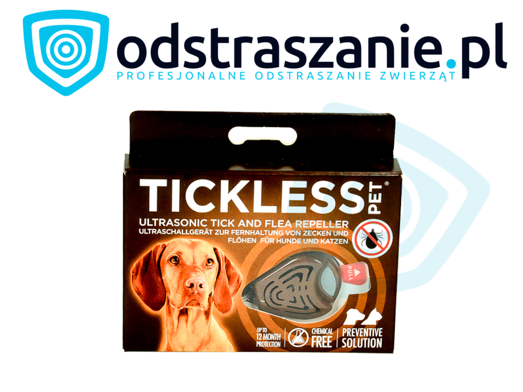 odstraszacz kleszczy, odstraszacz na kleszcze, odstraszanie kleszczy, odstraszacz wszy, sposób na wszy, zapobieganie wszawicy, profilaktyka wszawicy