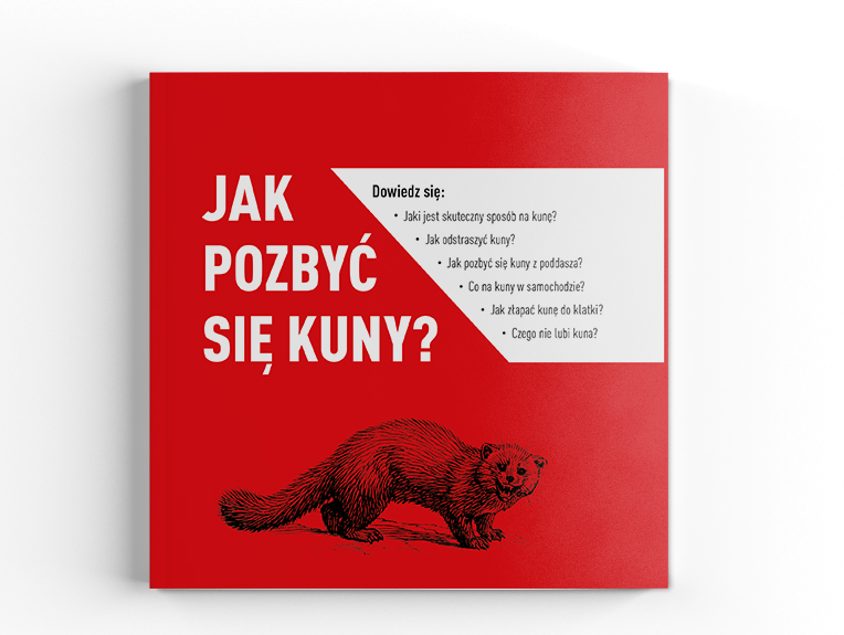 poradnik jak pozbyć się kuny