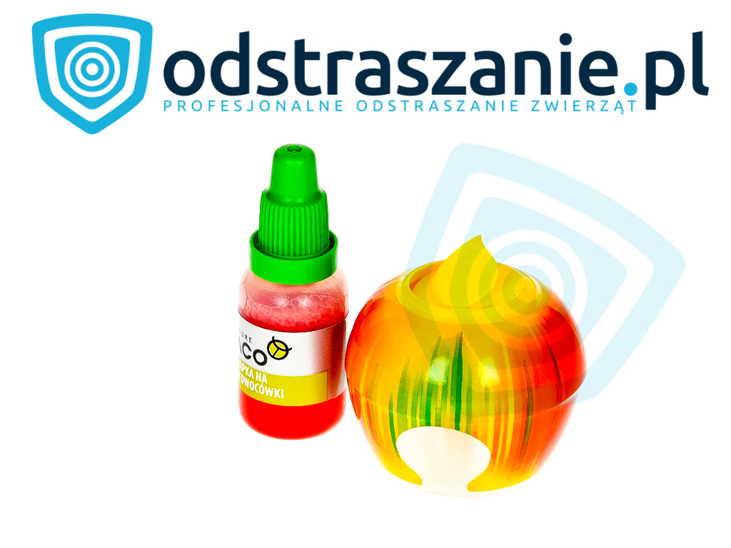 pułapka na muszki owocówki, muszka owocówka, muszka owocowa, owocówka