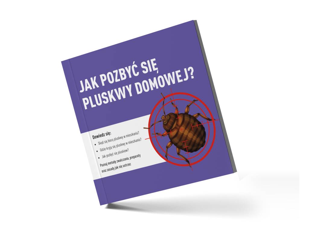 porady jak pozbyć się pluskwy