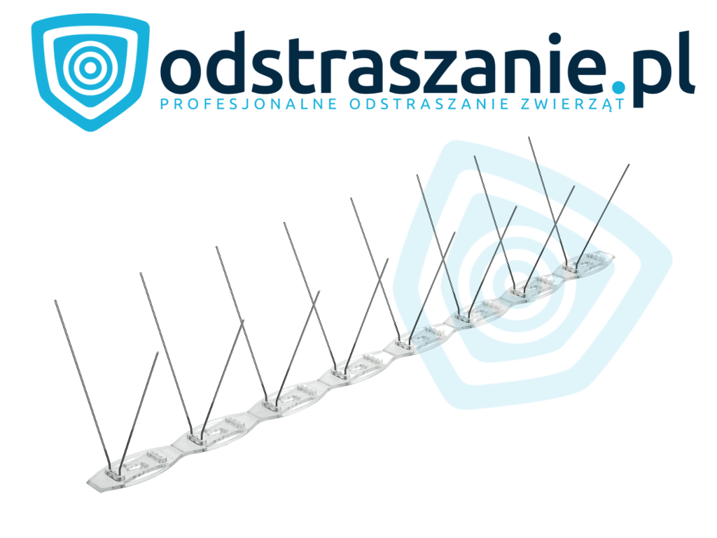kolce przeciw ptakom