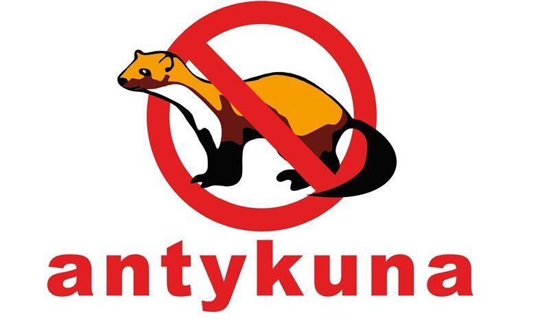 antykuna