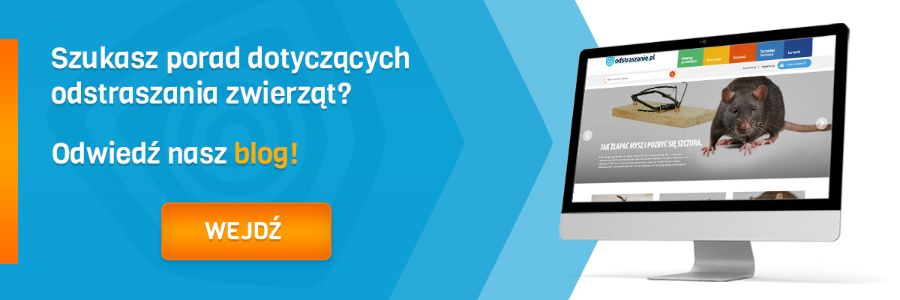 blog odstraszanie baner