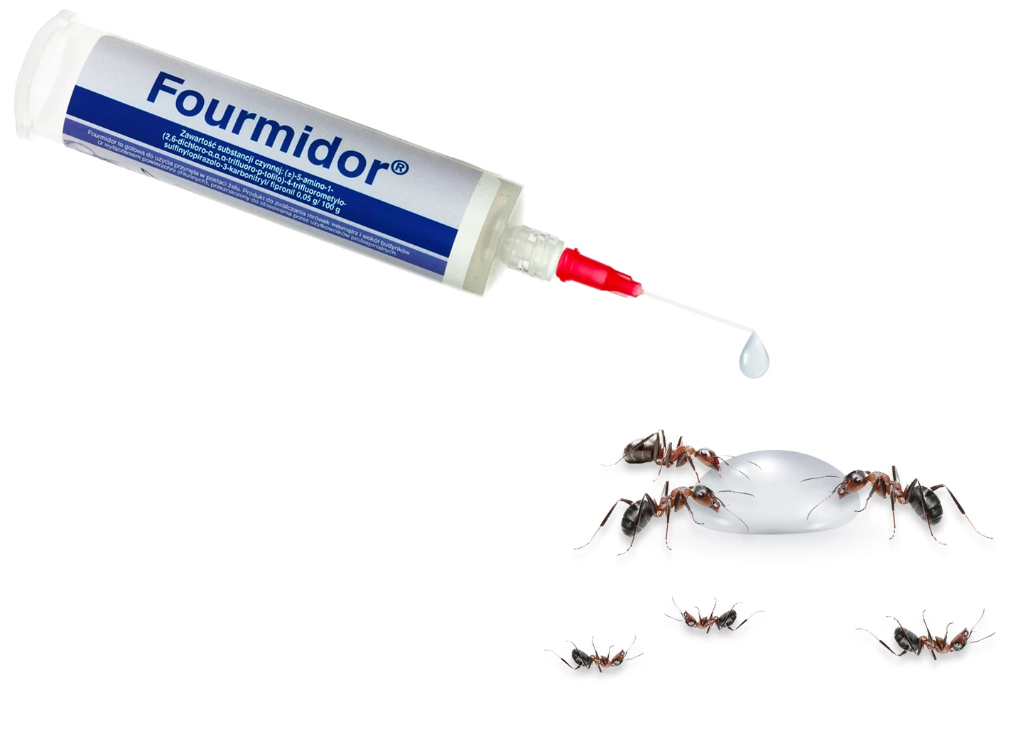 fourmidor na mrówki