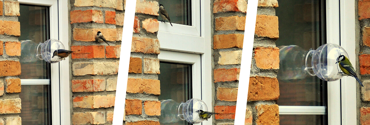 karmnik na okno, karmnik na balkon