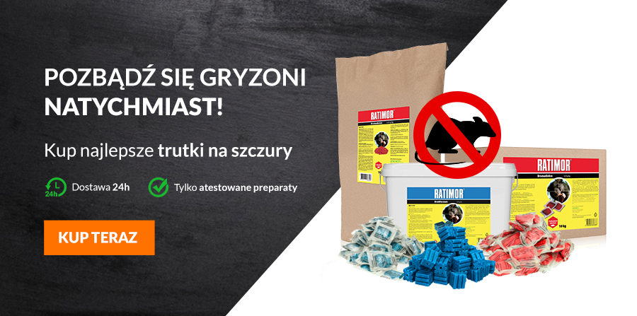 najlepsza trutka na szczury, skuteczna trutka na szczury